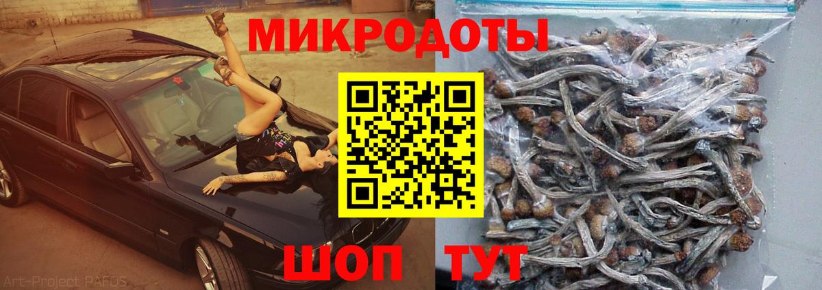 Кировск  Псилоцибиновые грибы Psilocybine cubensis  Вход с VPN  Псилоцибиновые грибы мицелий 